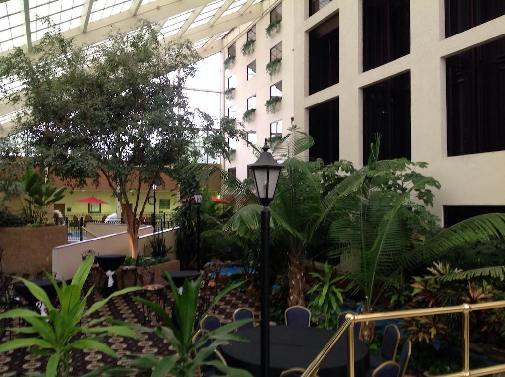 Hotel Wyndham Garden Amarillo Exterior foto